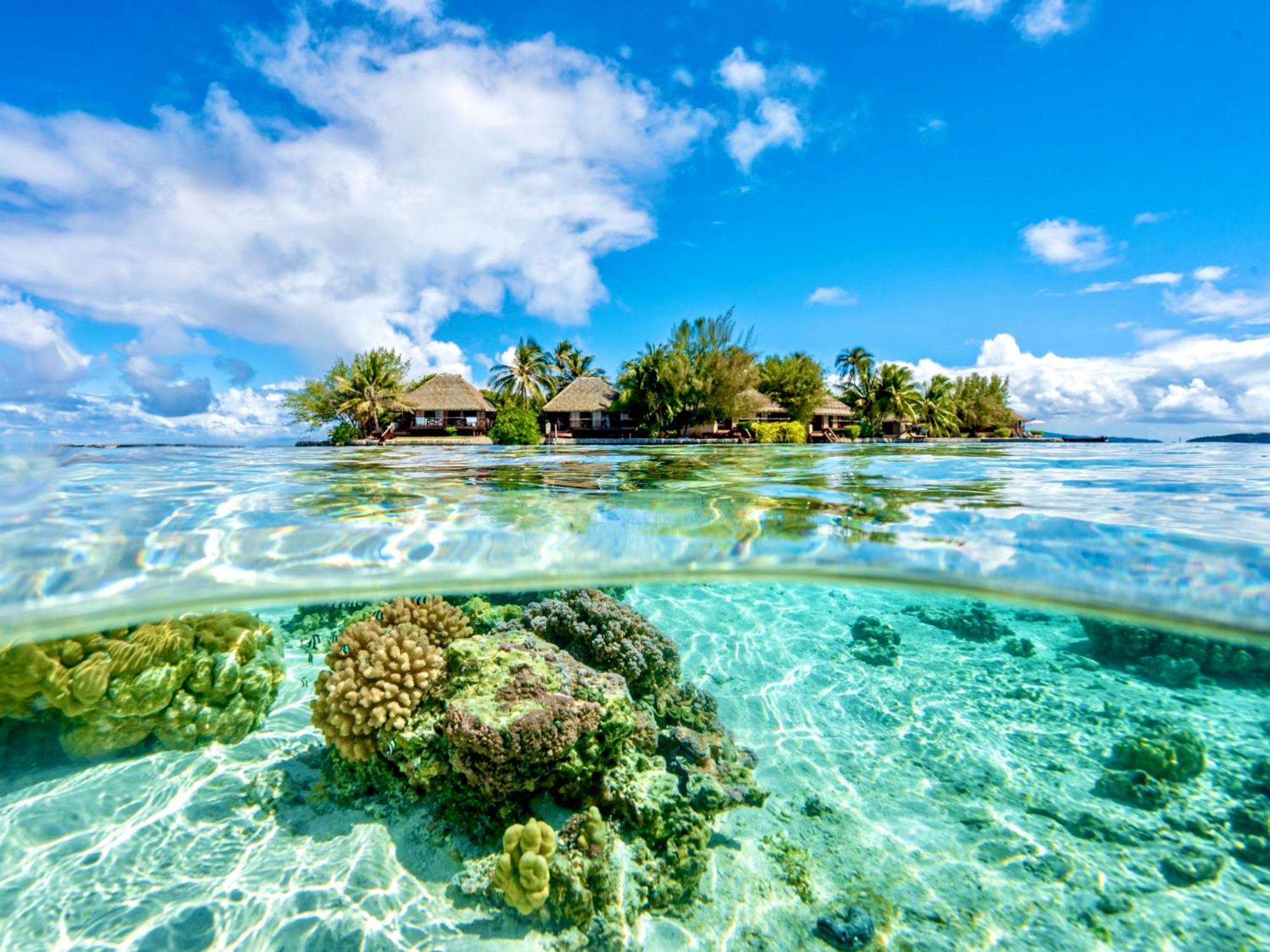 Eden Private Island Tahaa Hotel Patio  Exterior foto